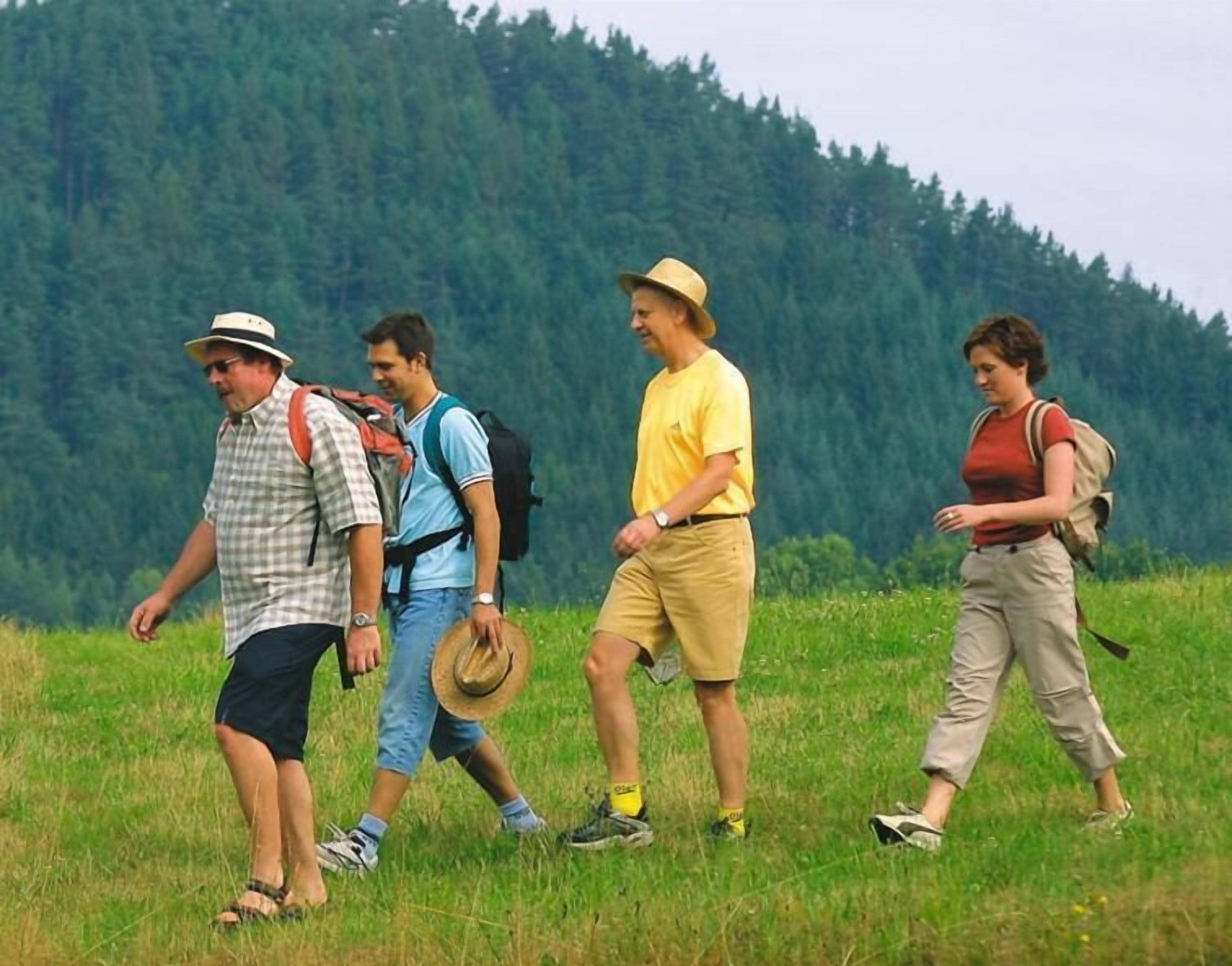 Un groupe de personnes fait une randonnée dans un champ herbeux, avec une forêt en arrière-plan.