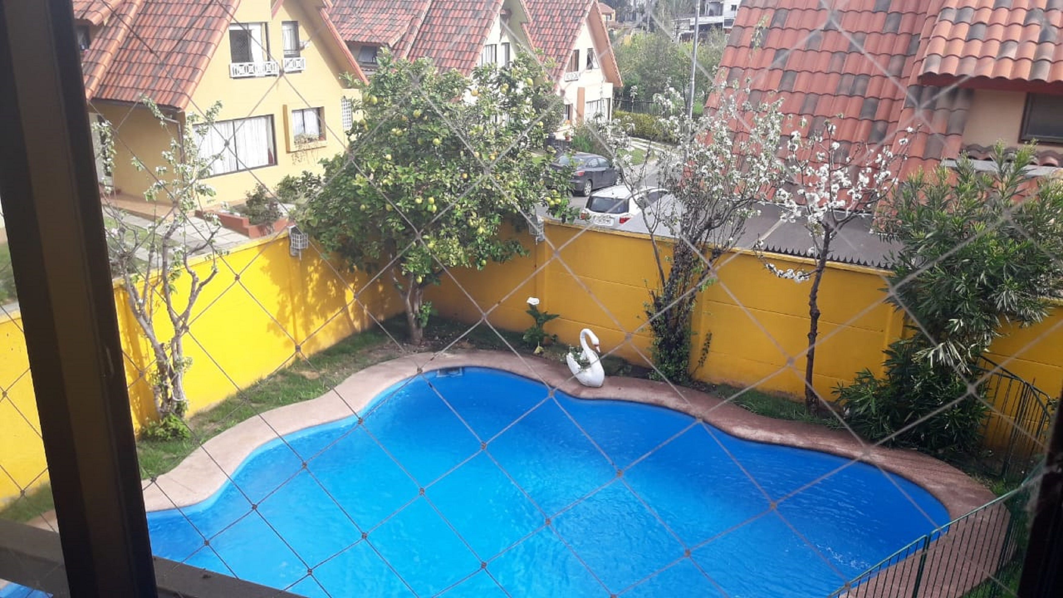 A swimming pool with a swan statue, surrounded by a yellow fence and greenery.