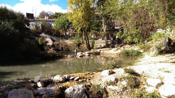 A natural landscape with a river, rocks, and trees. - El Palacil (Velez-Blanco)