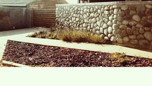 Property grounds - Cabañas Boutique Pezazul (Pichilemu)