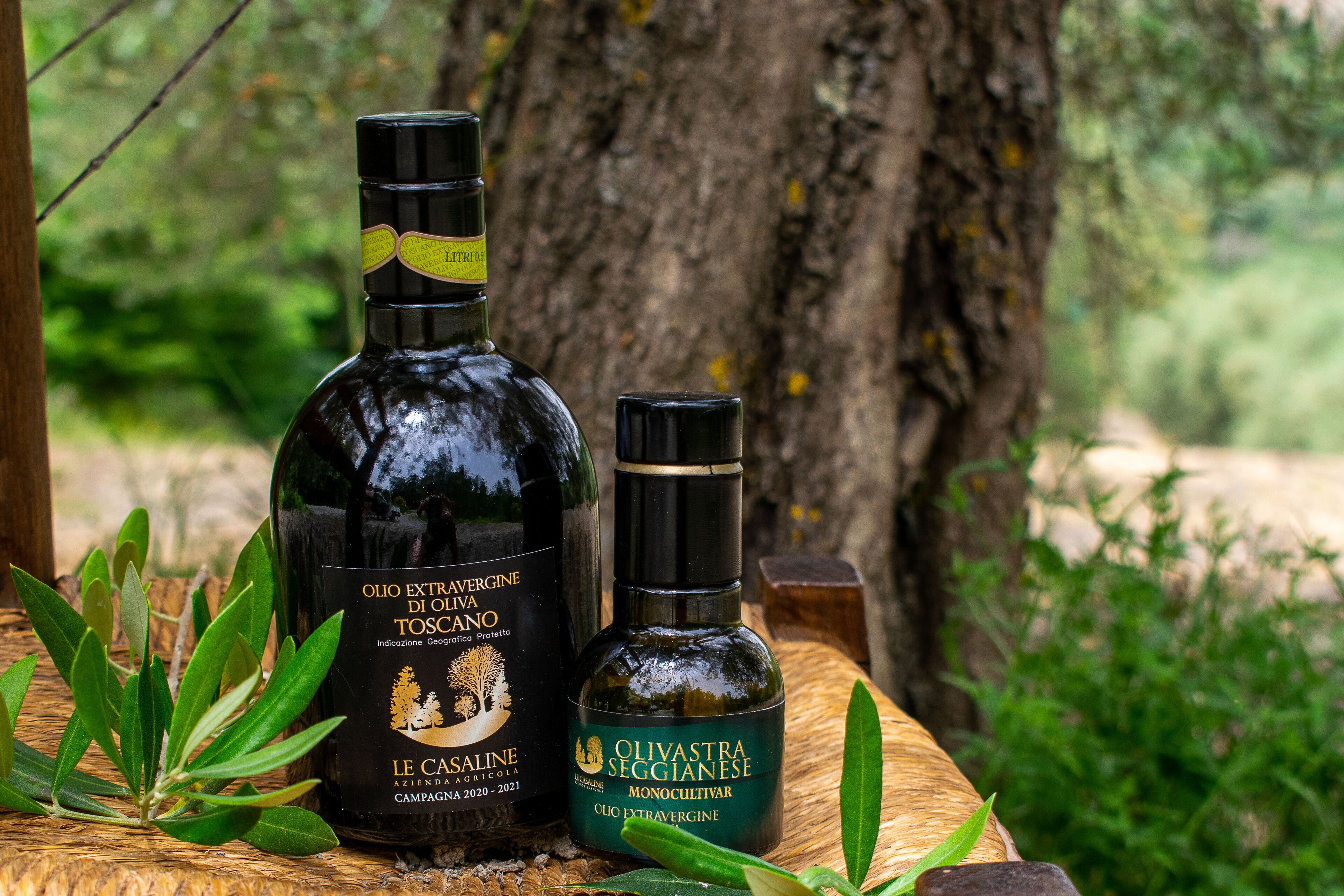 Due bottiglie d'olio d'oliva su un piano di legno, con piante verdi sullo sfondo.
