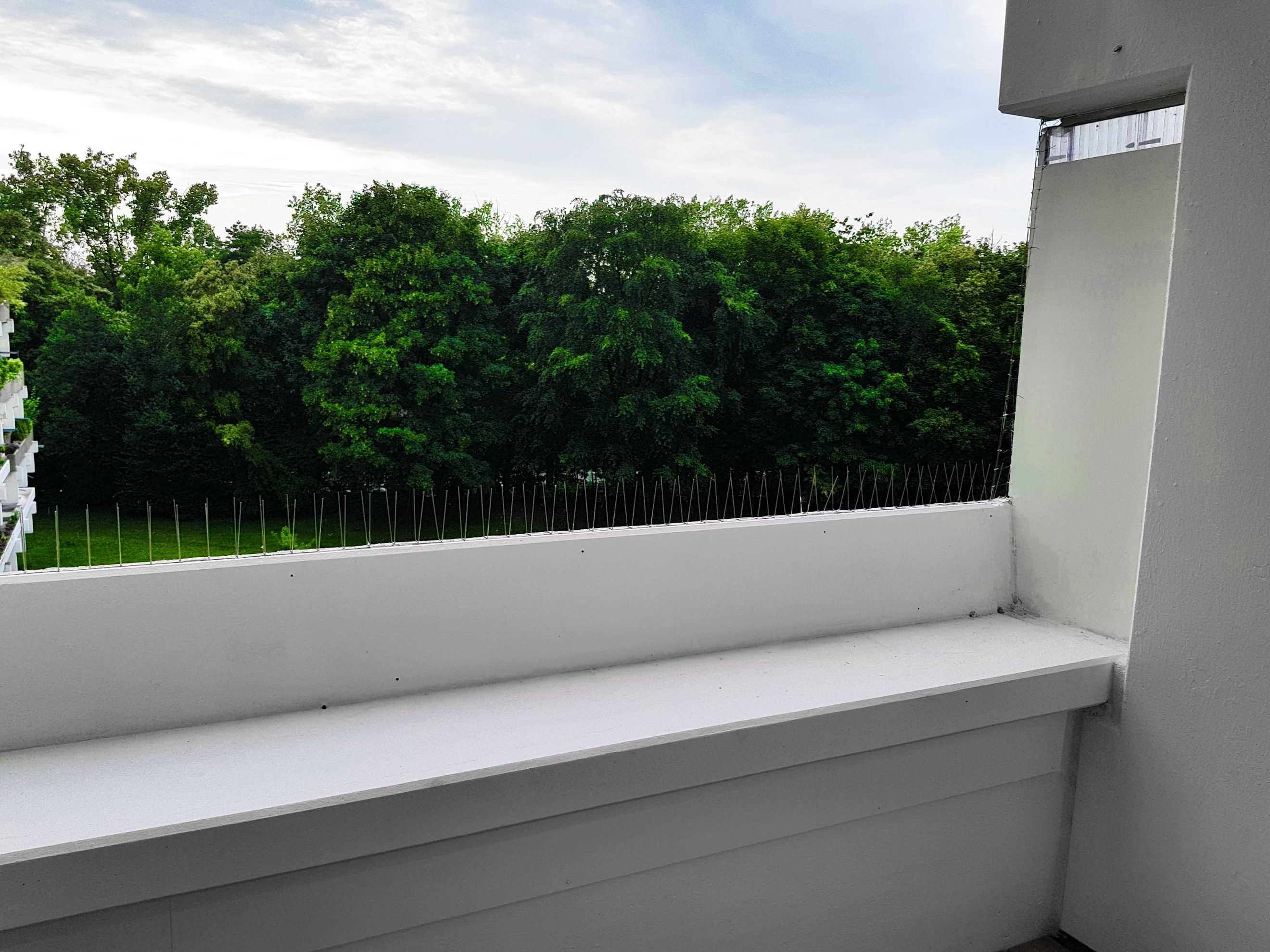 Blick vom Balkon