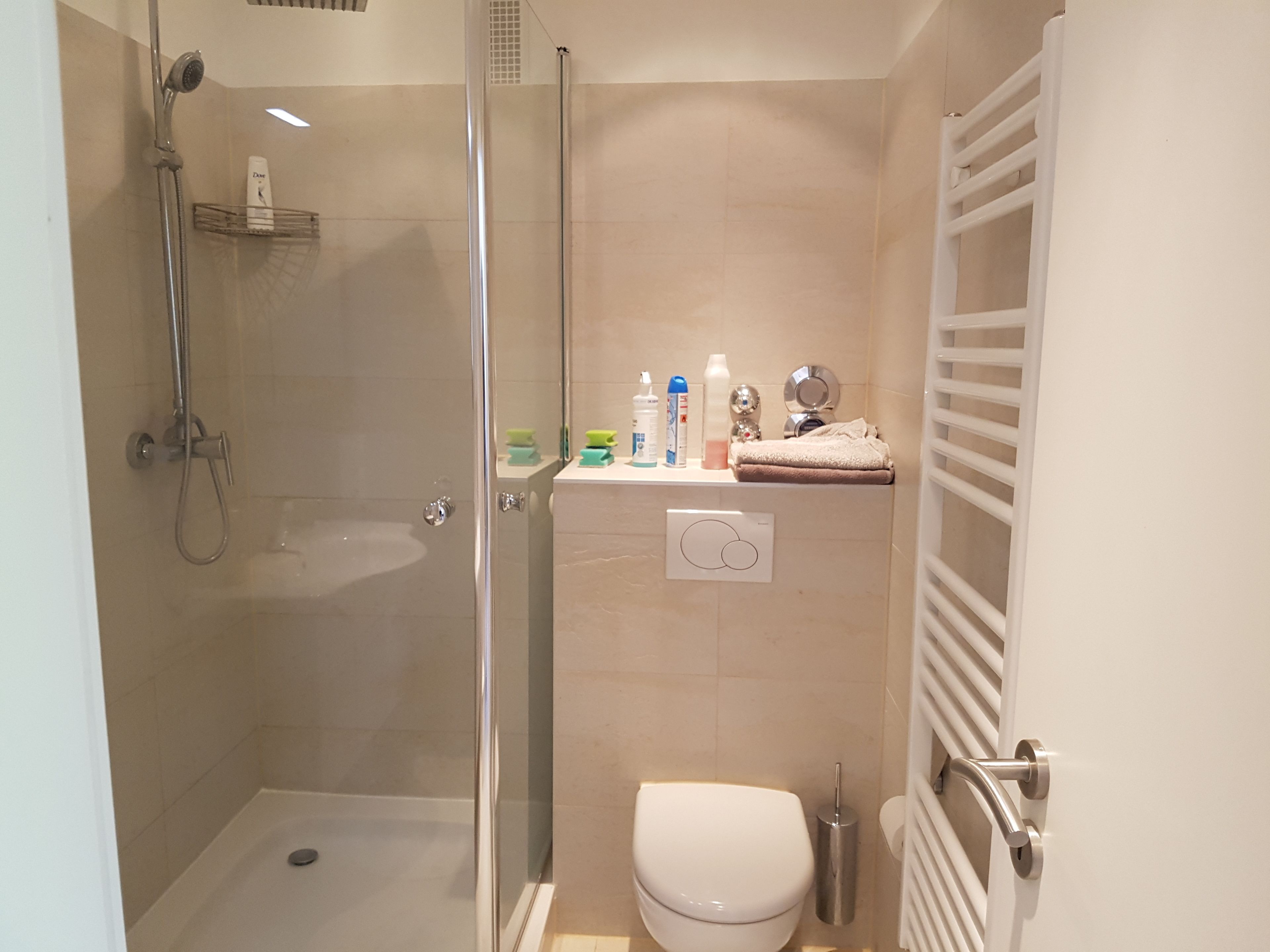 Deluxe Studio | Bathroom | Shower, hair dryer, towels