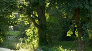 Un espace extérieur aménagé en jardin, avec des tables de pique-nique et des bancs, entouré d’une végétation luxuriante et d’arbres.