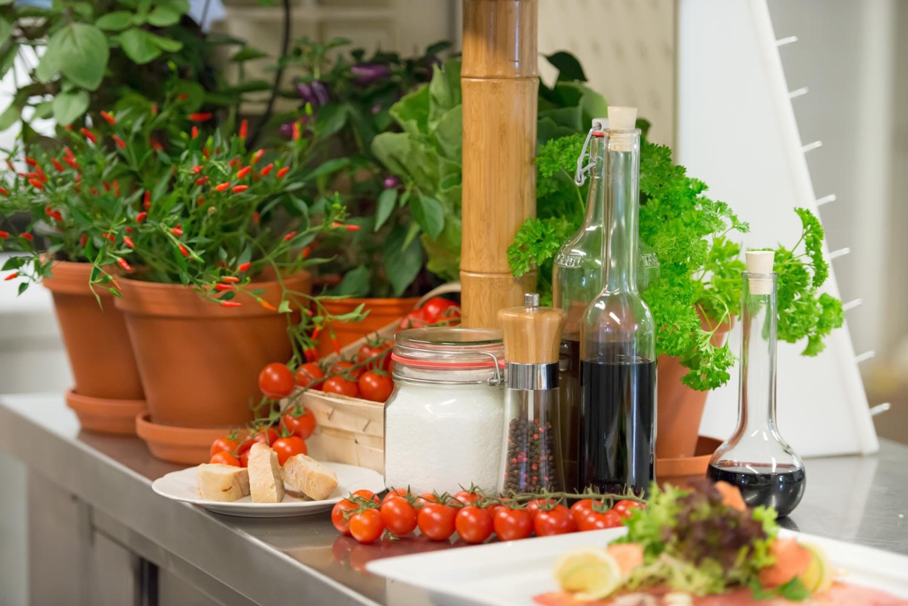 Una encimera de cocina con diversos ingredientes y utensilios, como tomates, hierbas y botellas.
