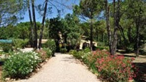 Camí que travessa un jardí ple de plantes i arbres.