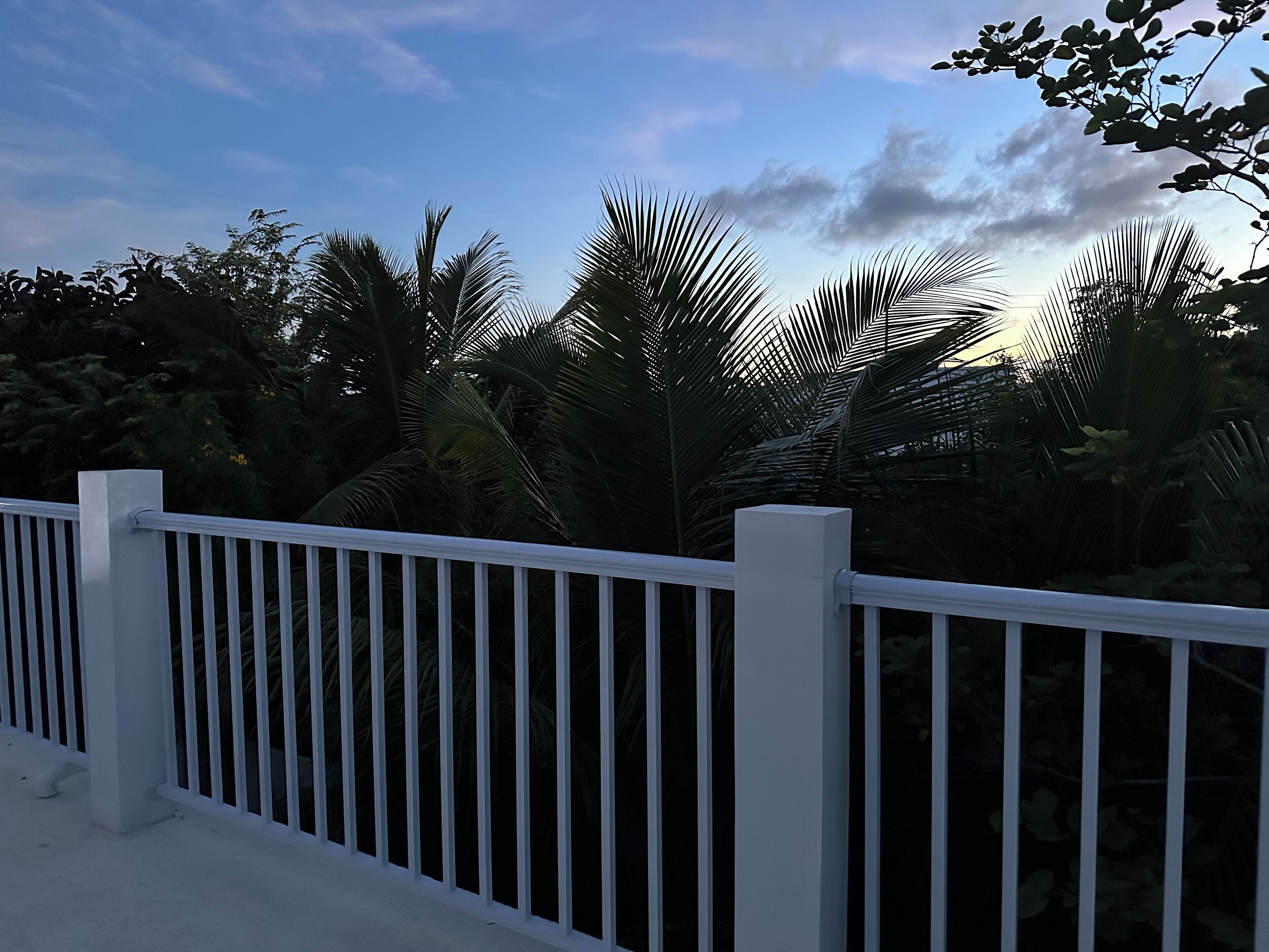A white fence with a view of palm trees and a clear sky.