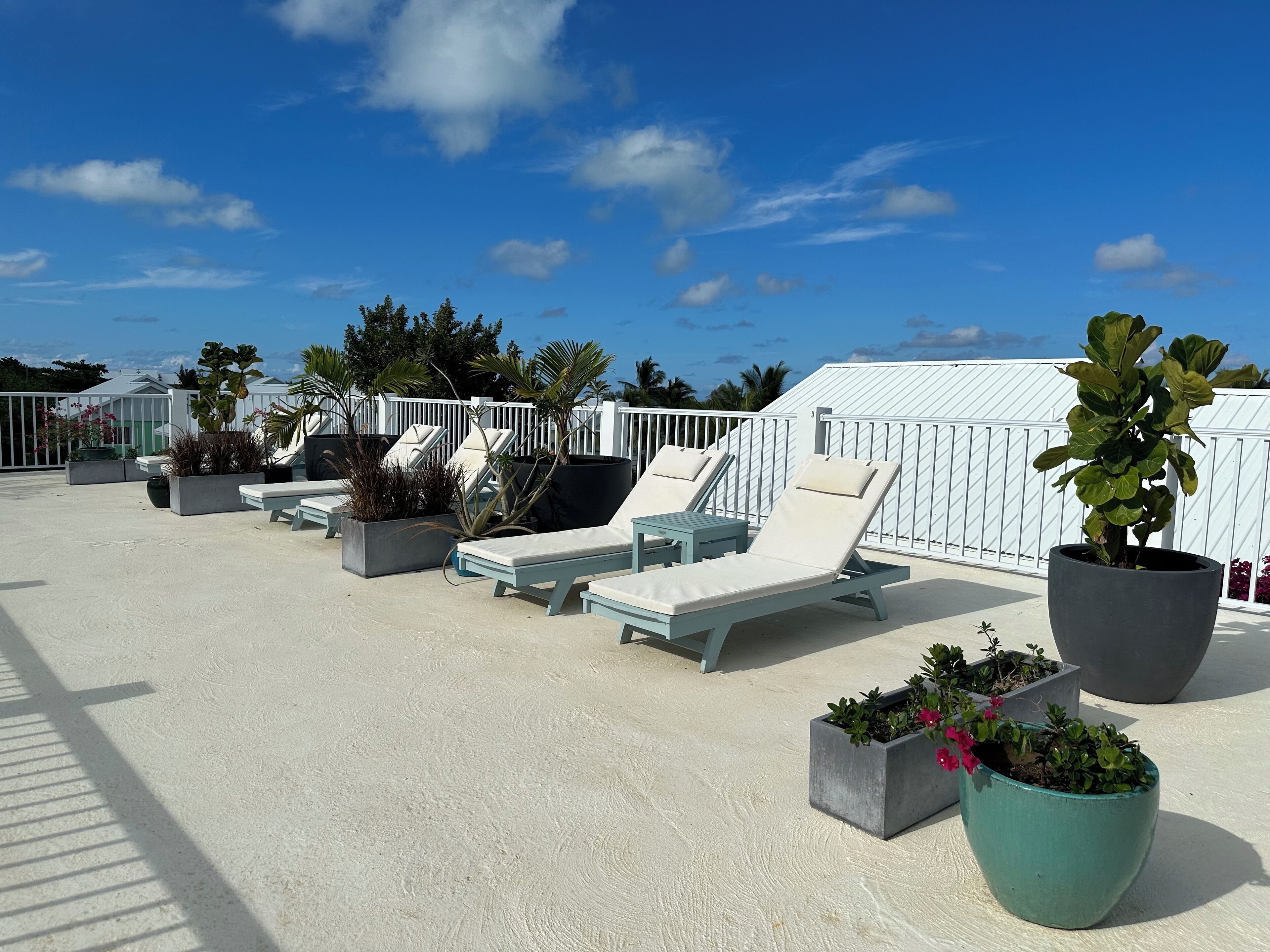 テラス / パティオ