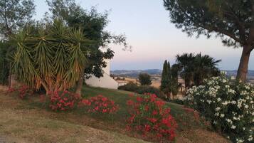 Vistas desde el alojamiento