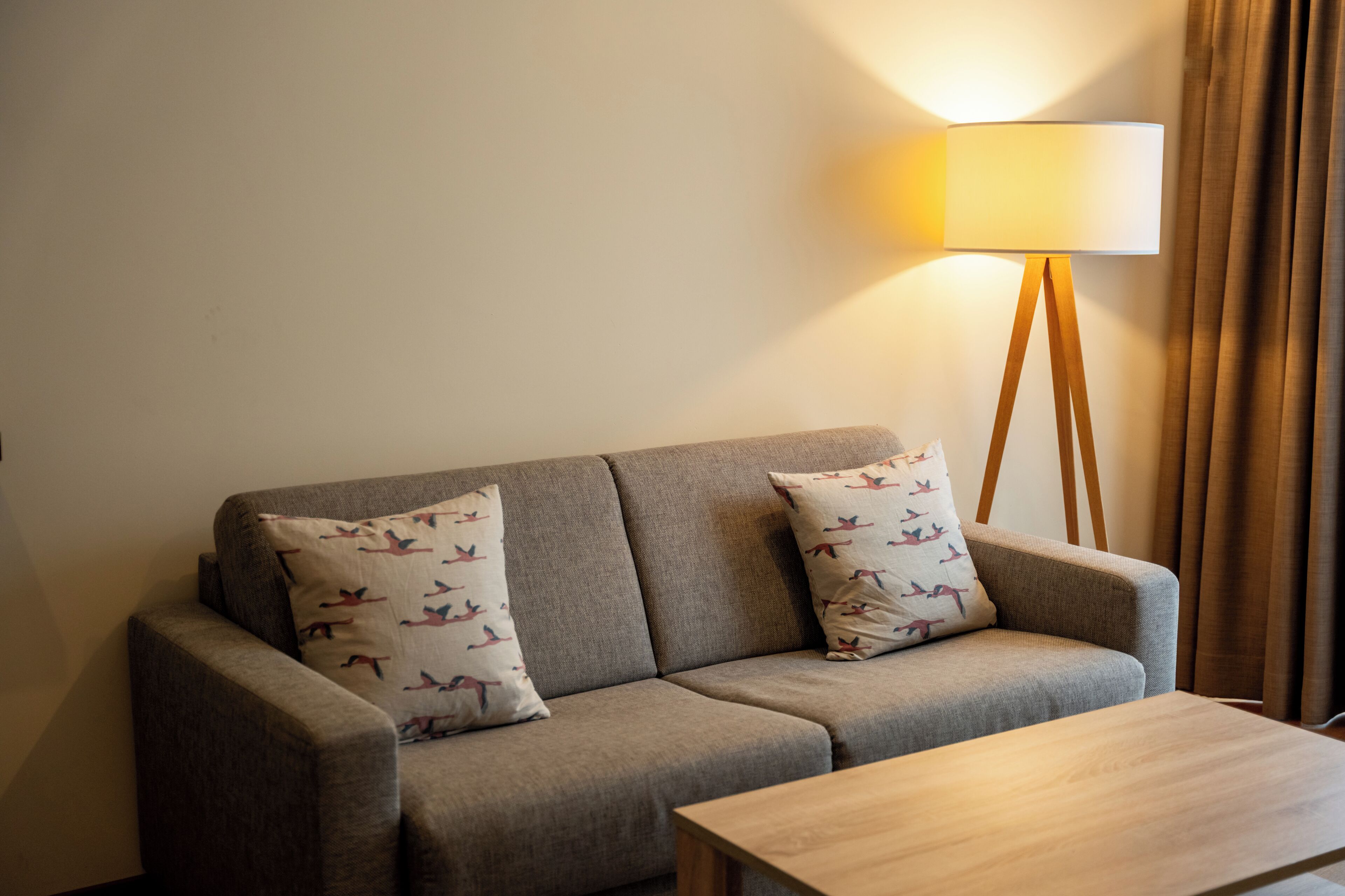 A modern living room with a grey sofa, two patterned pillows, a wooden coffee table, and a floor lamp.