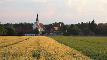 Paisaje rural con una iglesia y campos.