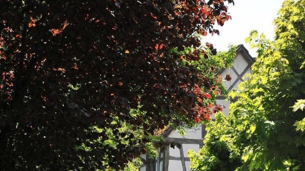 Ein schmaler Pflasterweg führt zu einem traditionellen Gebäude mit freiliegenden Holzbalken und einer Tür mit geometrischem Muster.