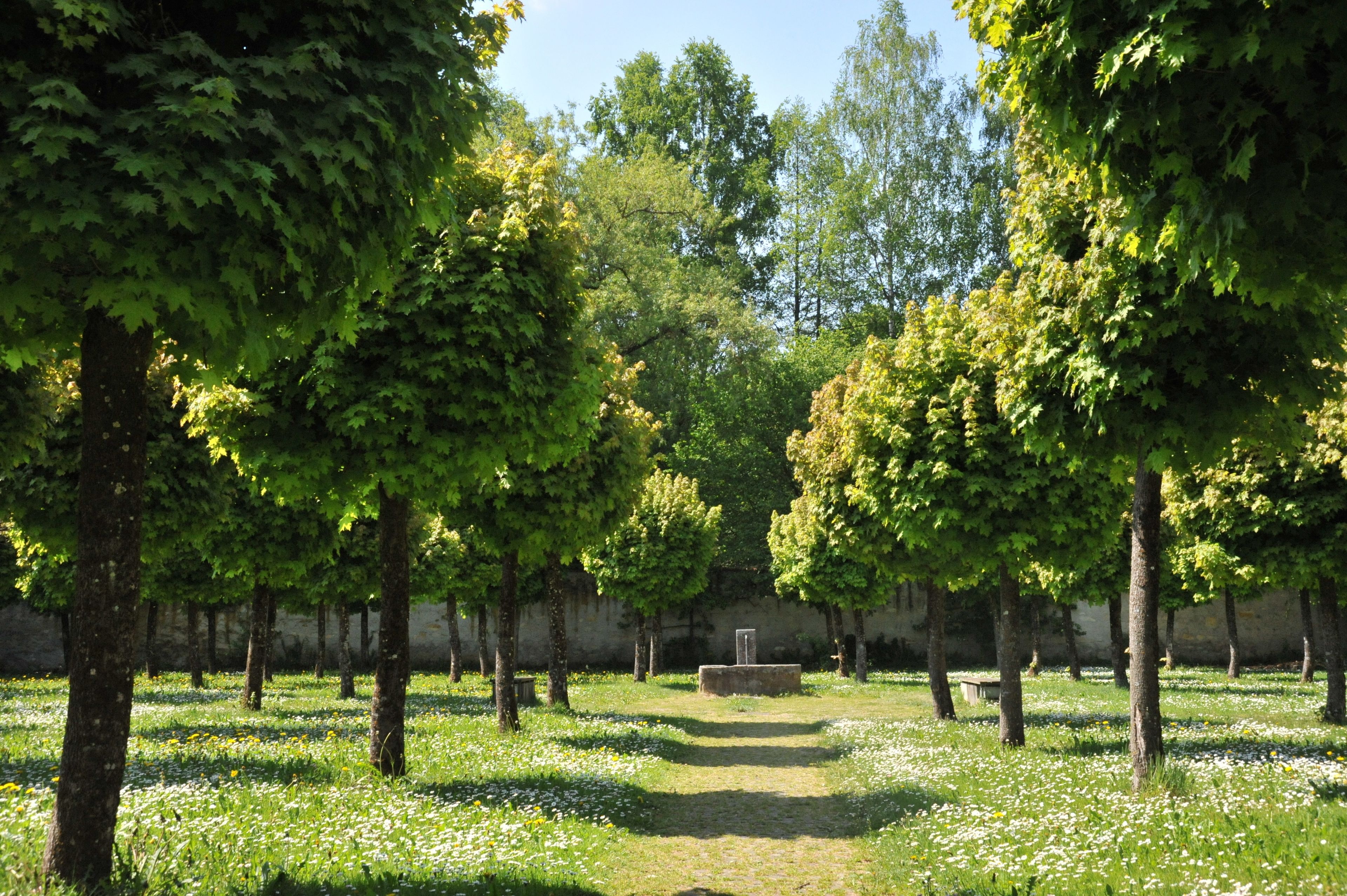 A pathway surrounded by trees and a stone bench in a park-like setting.