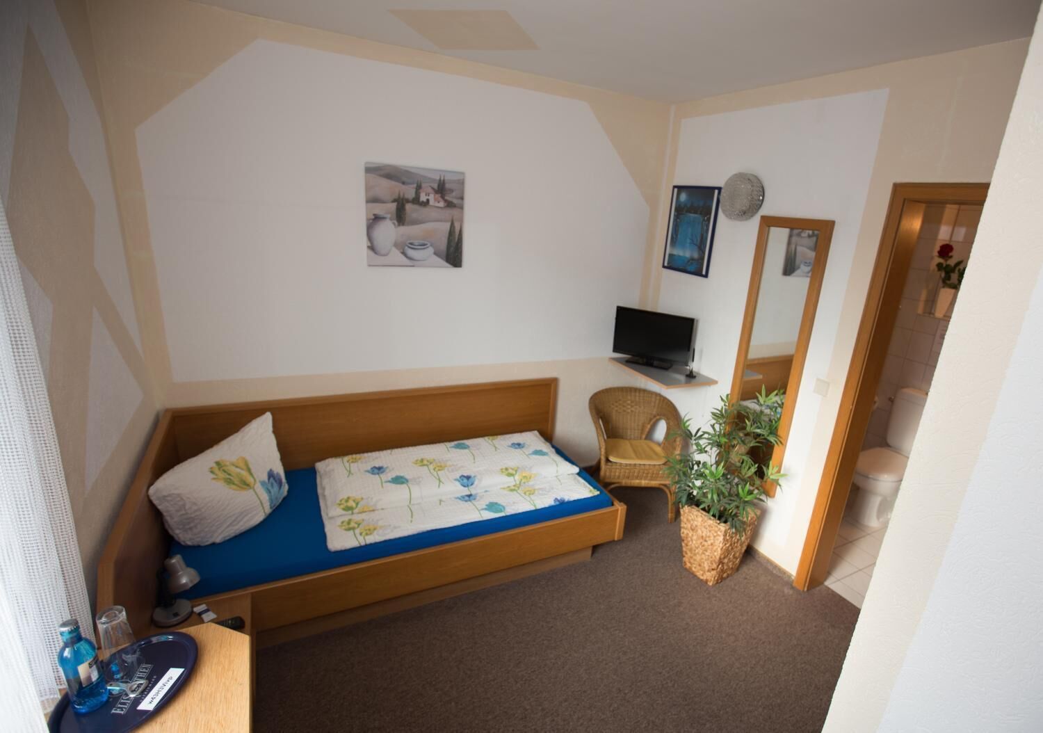 Une chambre avec un lit simple, une télévision, une chaise et une plante en pot.
