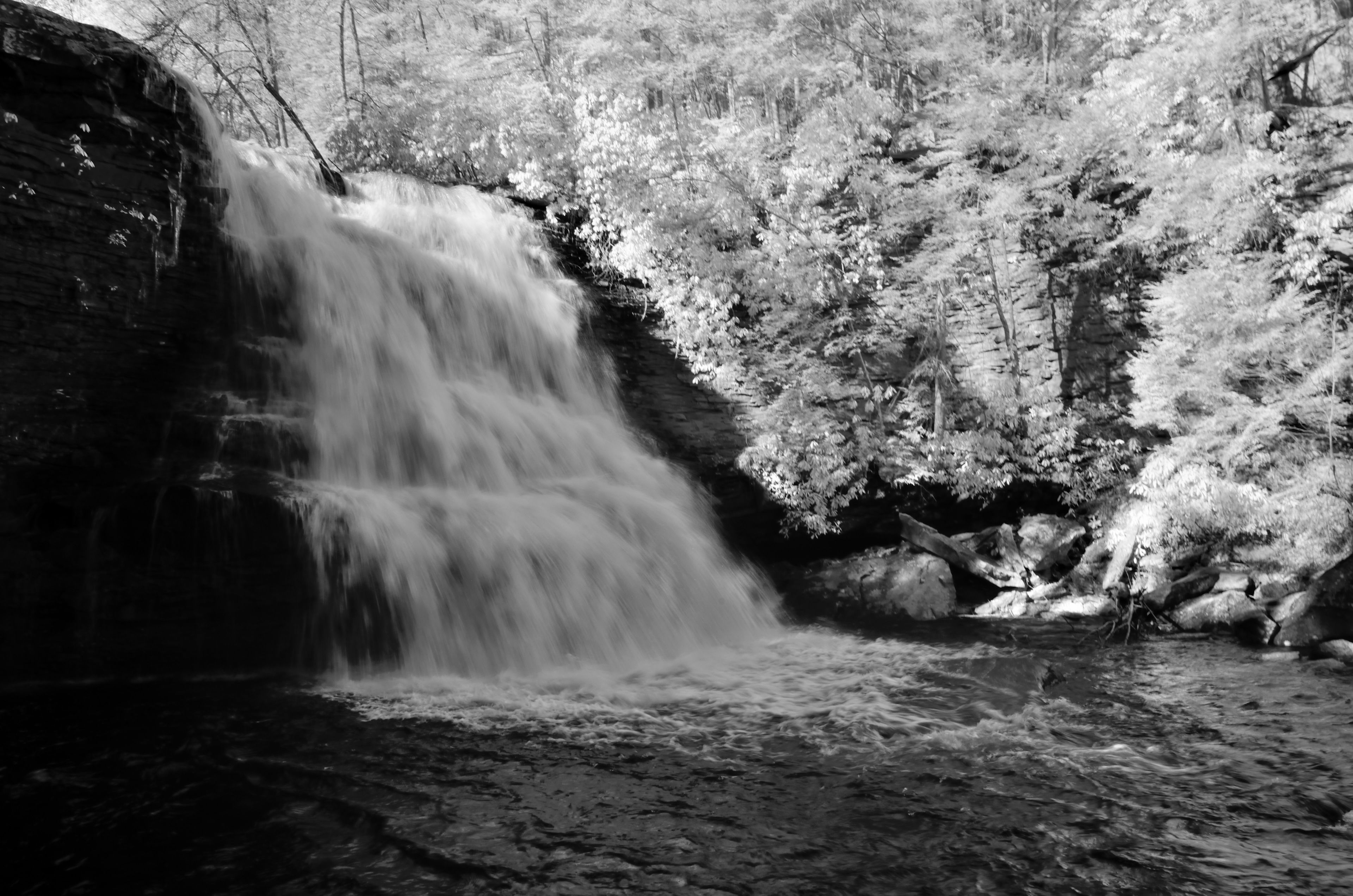 A waterfall cascading over rocks into a river, surrounded by dense forest.