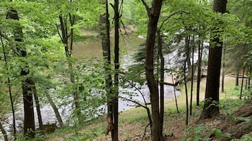Deluxe Cabin, 1 King Bed, Non Smoking | View from room