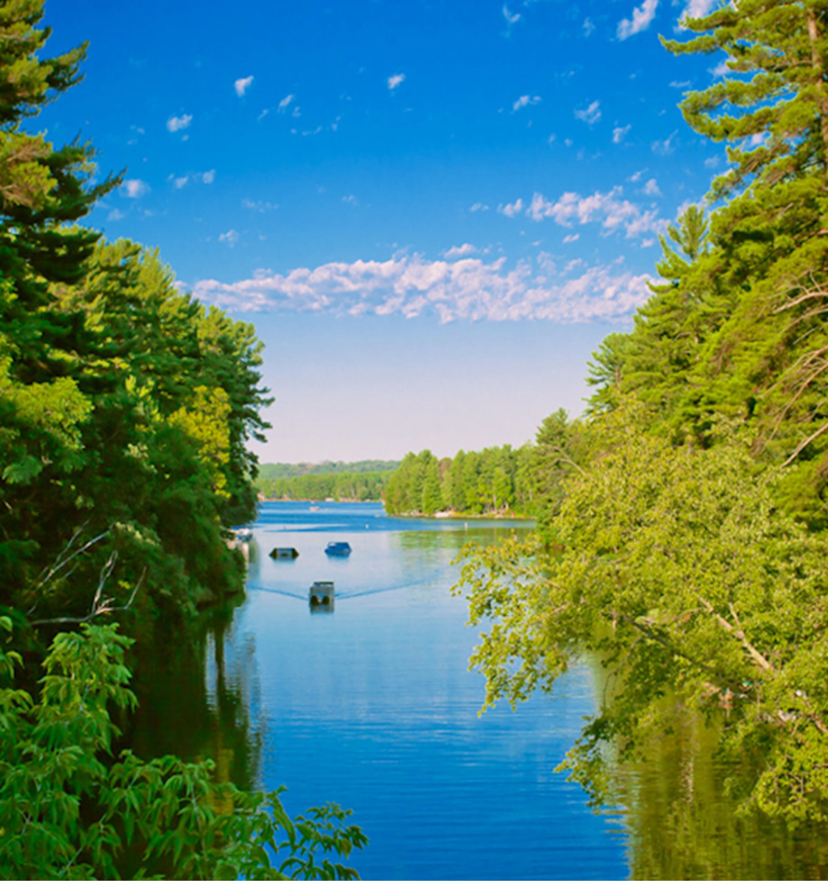 Une rivière paisible, bordée d’arbres verdoyants et luxuriants, sous un ciel bleu dégagé.