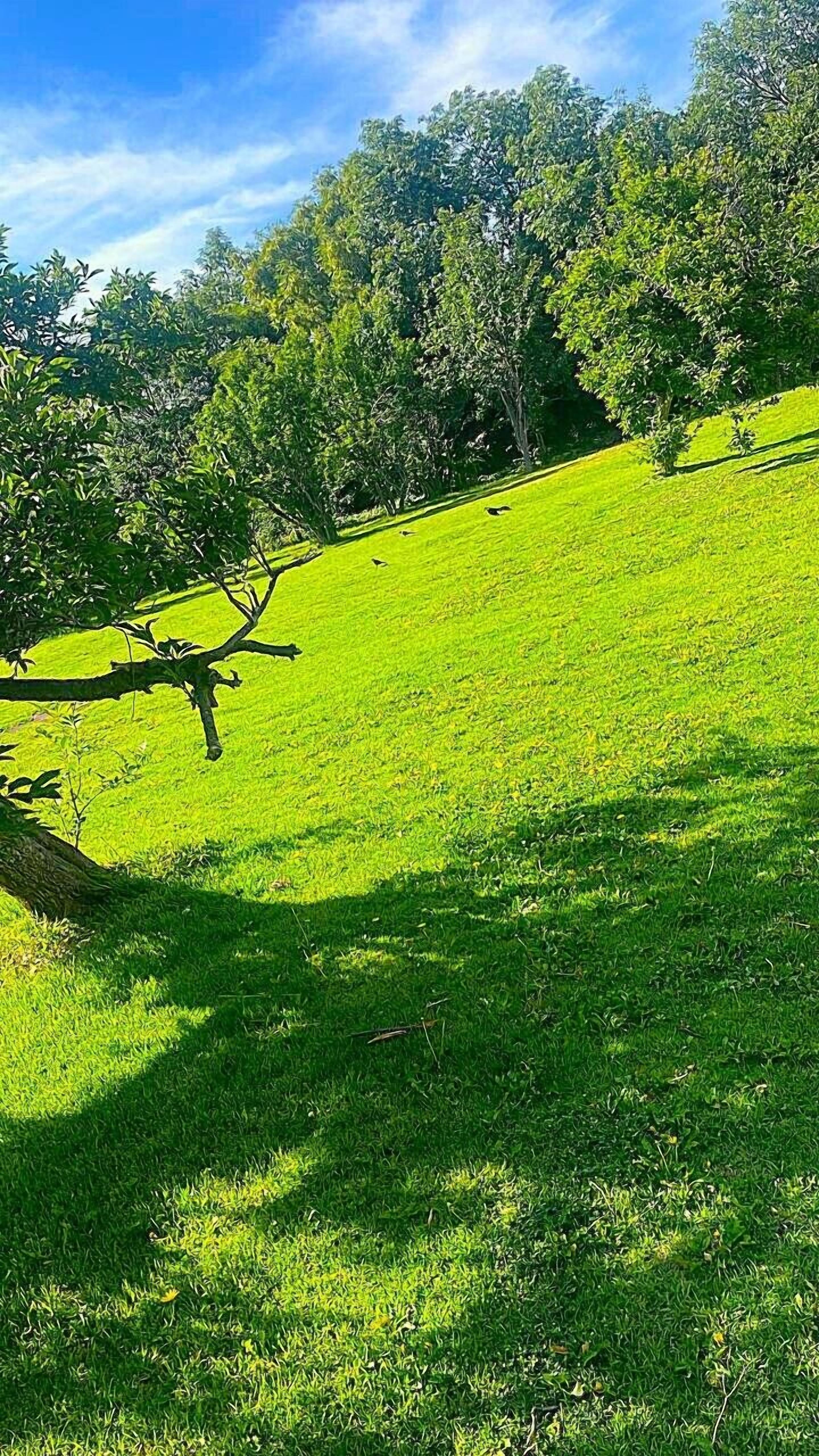 outdoor banquet area