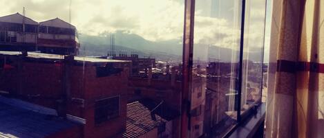 Apartamento estándar, 1 habitación, cocina, vistas al parque | Vistas desde la habitación