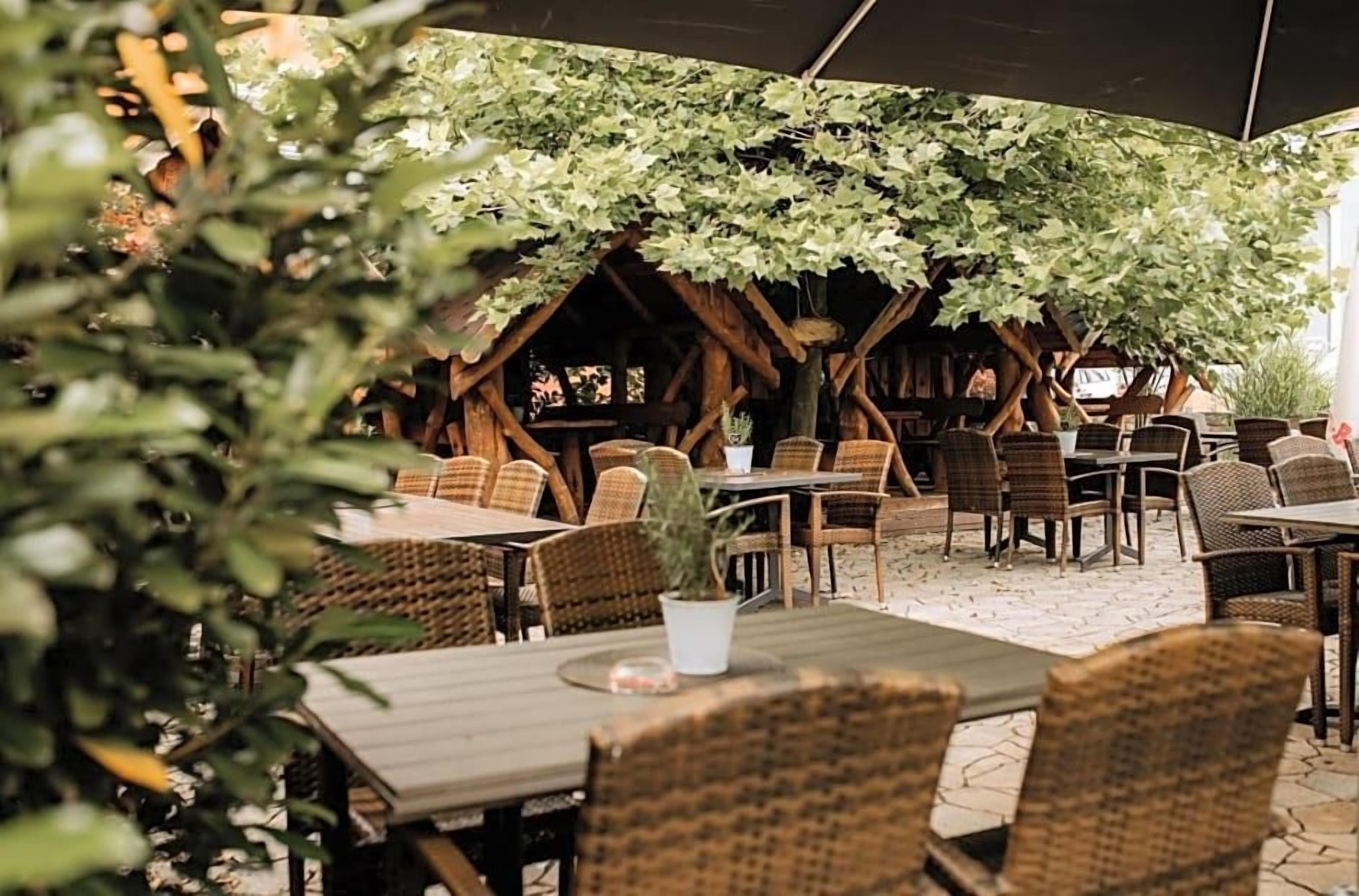 An outdoor seating area with wicker furniture and a canopy of green foliage.