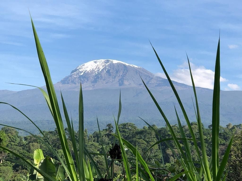 A mountain with a snow-capped peak, surrounded by lush greenery and clear skies.