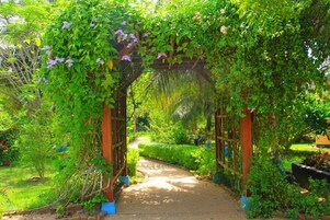 Um caminho de jardim sob uma pérgola de madeira com plantas trepadeiras e flores.
