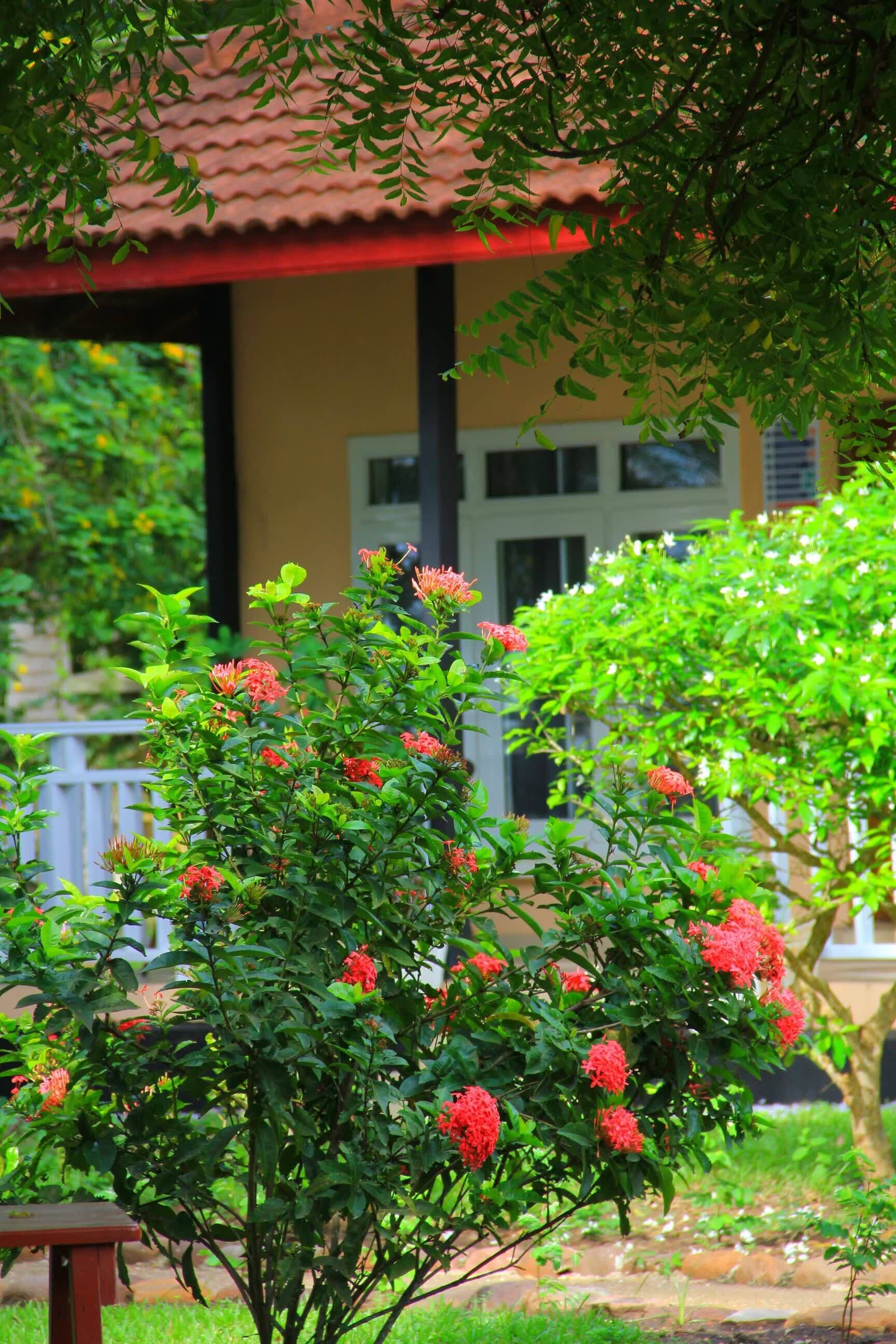 Un jardin avec des fleurs rouges et un bâtiment avec un toit rouge.