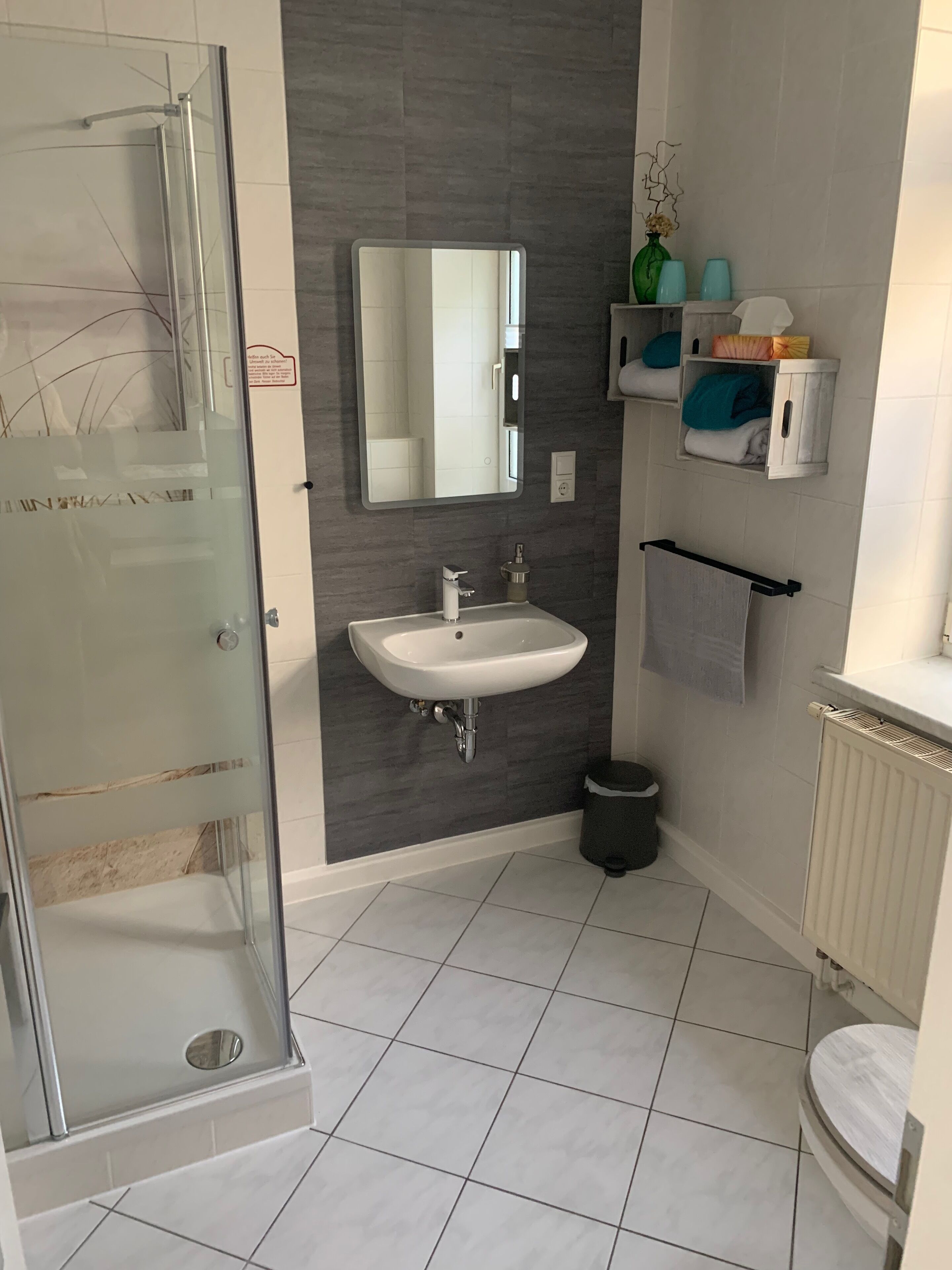 Un baño con mampara de vidrio, un lavabo blanco y un espejo encima. Hay un perchero y un cubo de basura.