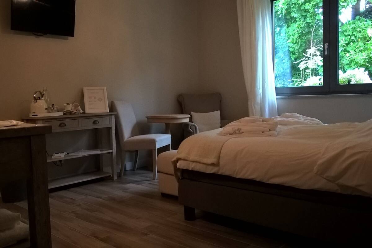 A hotel room with a bed, a desk with a lamp, a chair, and a window with a view of greenery.