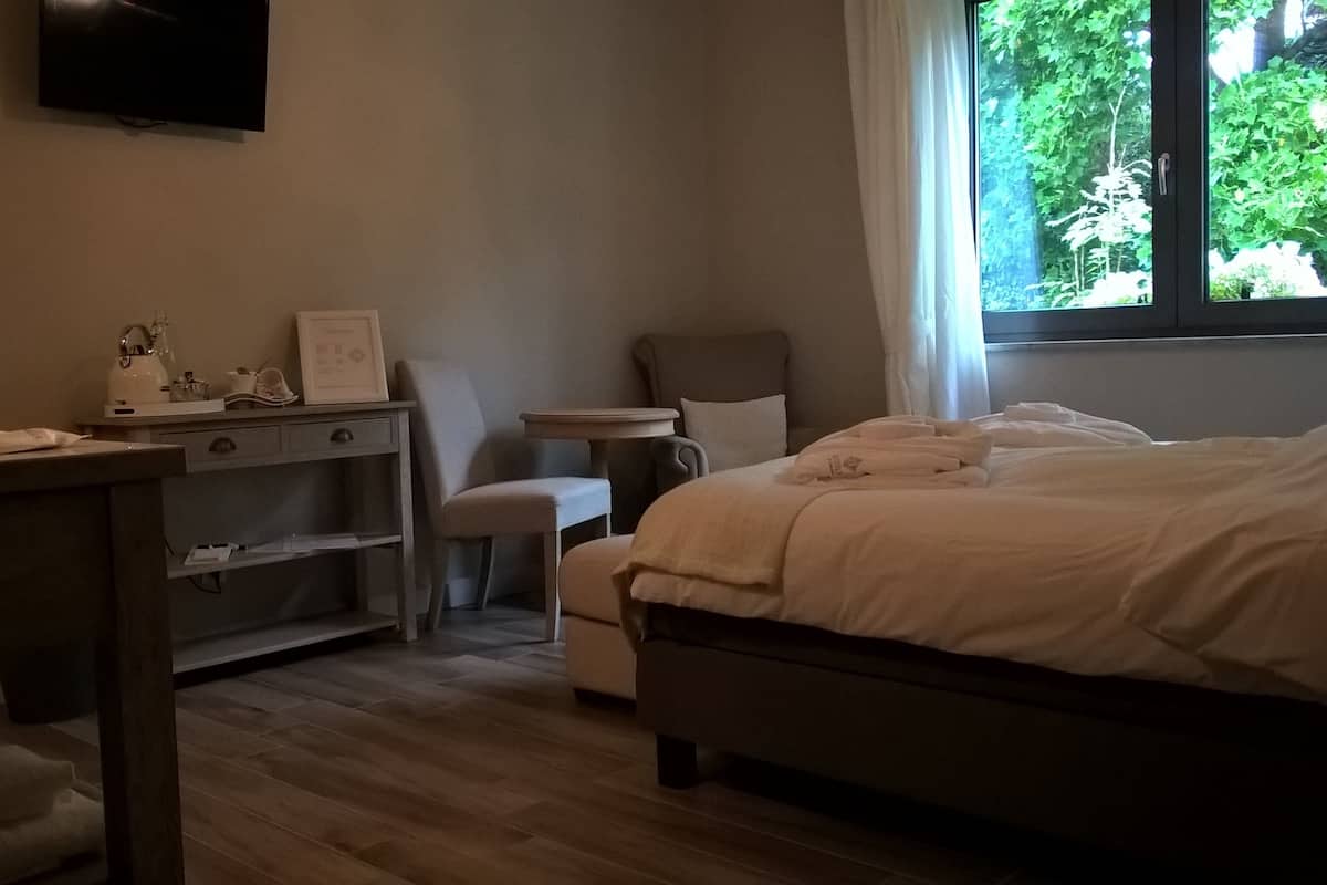 Habitación doble (Caroline) | Minibar, caja de seguridad en la habitación y escritorio