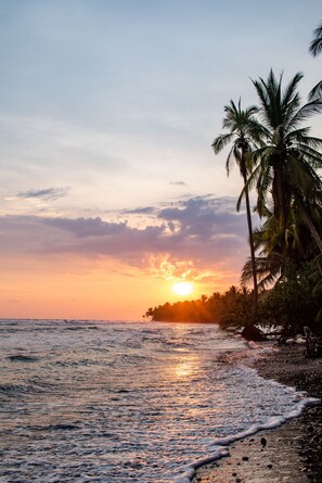 A beach scene with palm trees and the ocean at sunset.