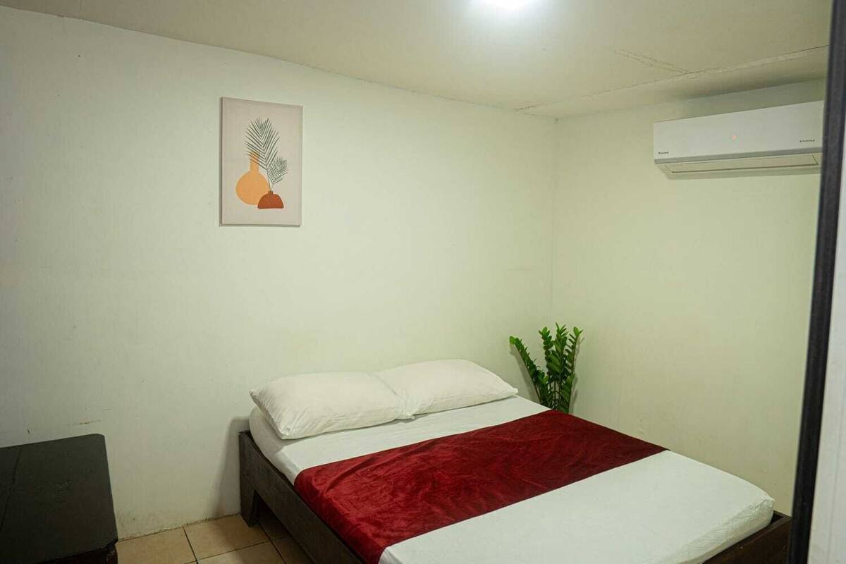 A bedroom with a bed, a red blanket, a white pillow, a small desk, a potted plant, and an air conditioning unit.