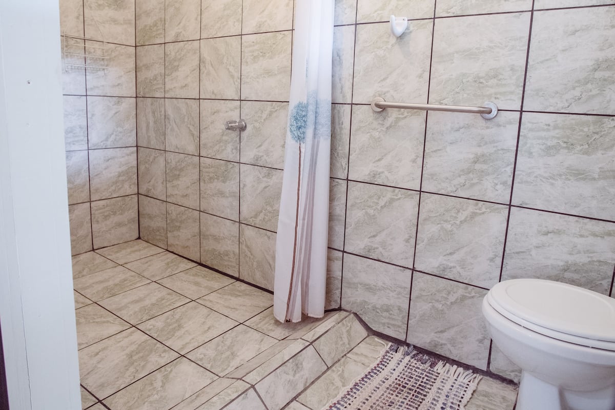 A bathroom with a shower, toilet, and a grab bar.