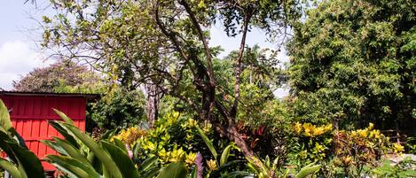 Un jardín con diversas plantas y un cobertizo rojo.