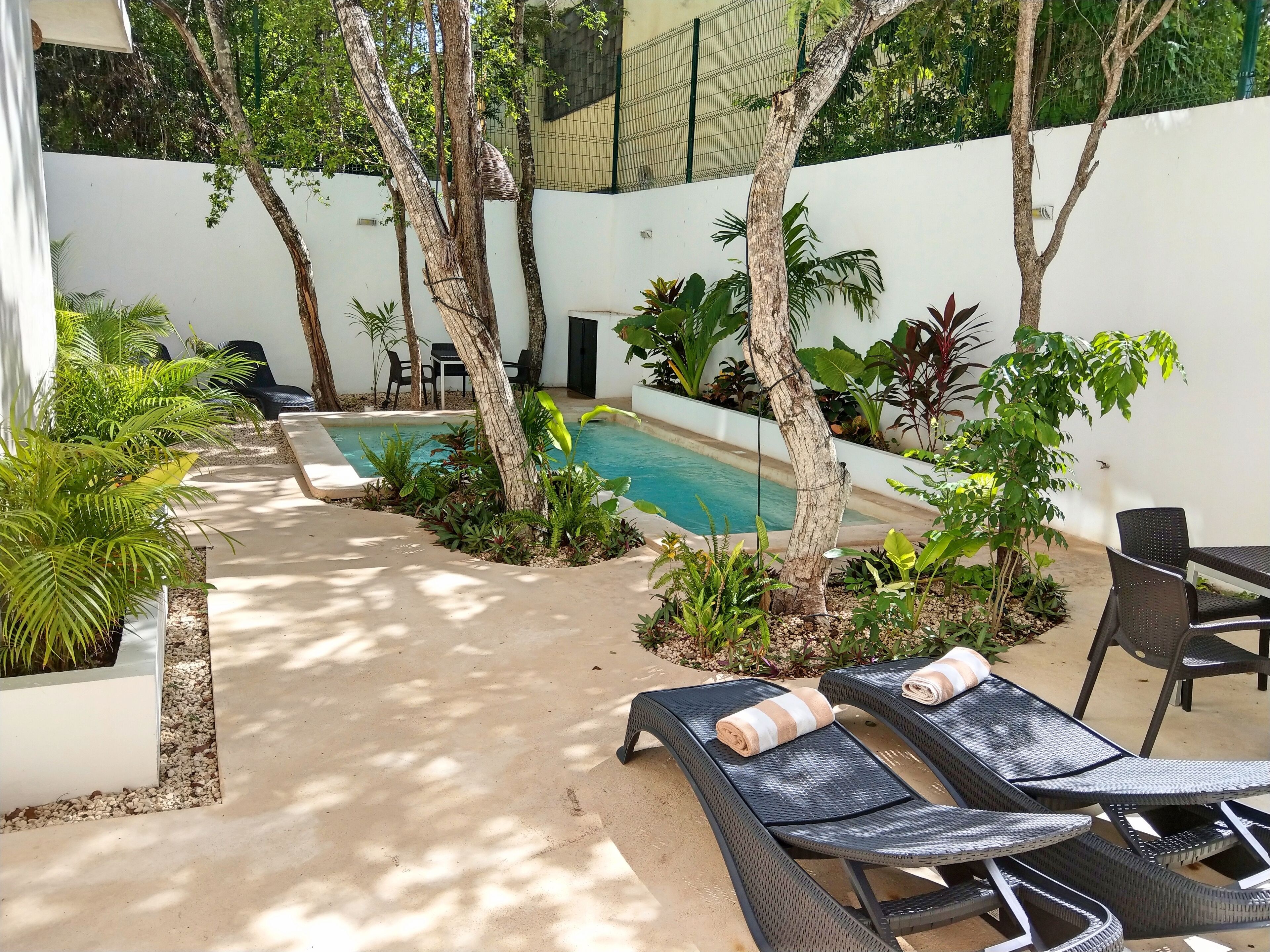 Un área junto a la piscina con sillas de descanso, una piscina pequeña y diversas plantas tropicales.