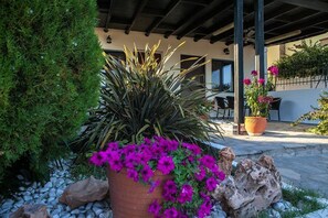 Apartment, Multiple Beds, Non Smoking | Terrace/patio - Dasea Houses (Sithonia)