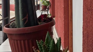 Unclassified image, 4 of 5, button - Hostal Avenue (La Serena)
