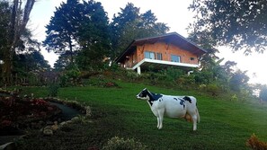 Exterior detail - HelveTico Chalets & Reserve (San Rafael)