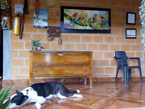 Pet-friendly - Hostal El Papiro (Mocoa)