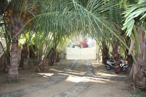 Property grounds - Villas Cap Nord (Grand-Baie)