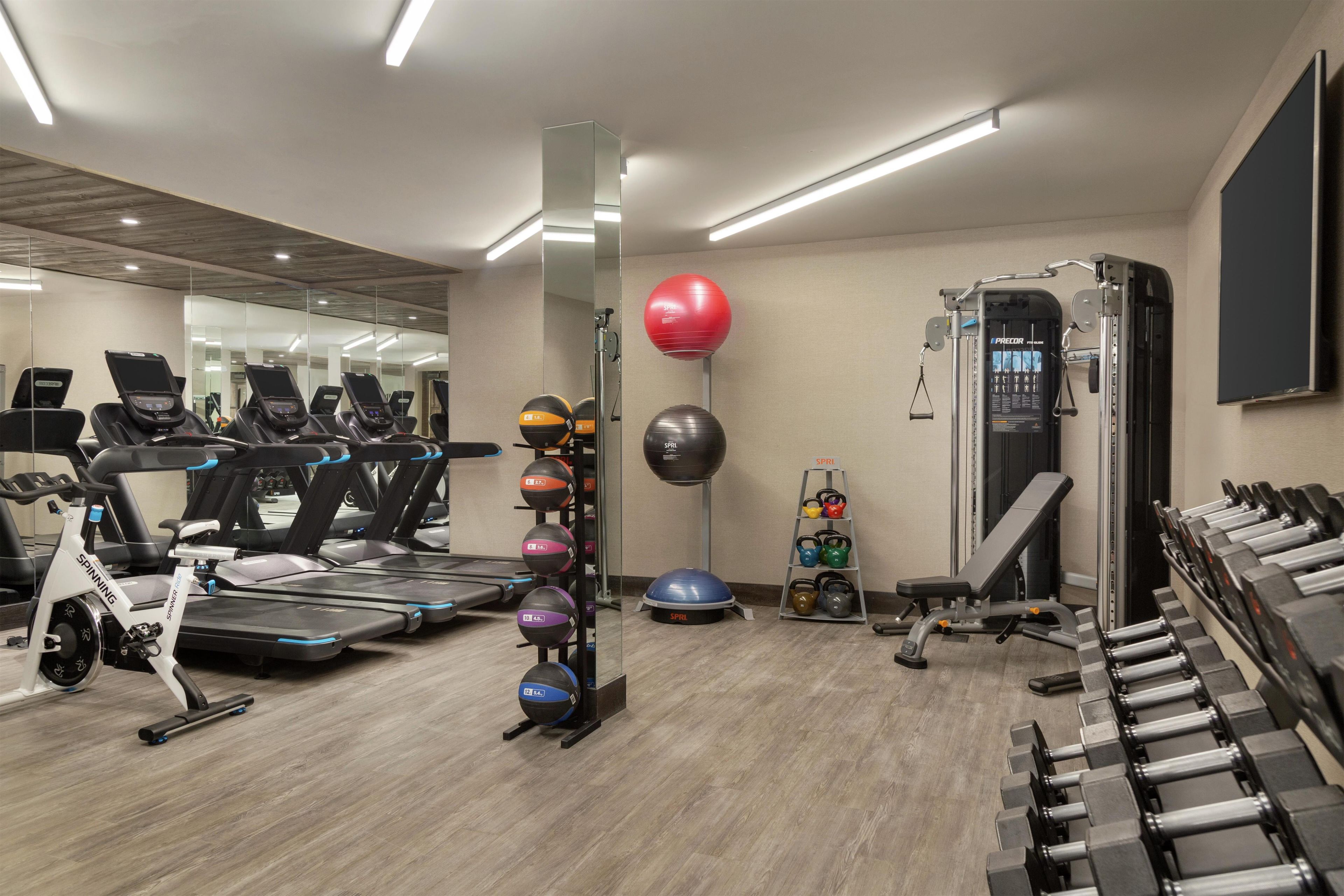 A gym with treadmills, a stationary bike, a weight bench, a squat rack, and various exercise balls.