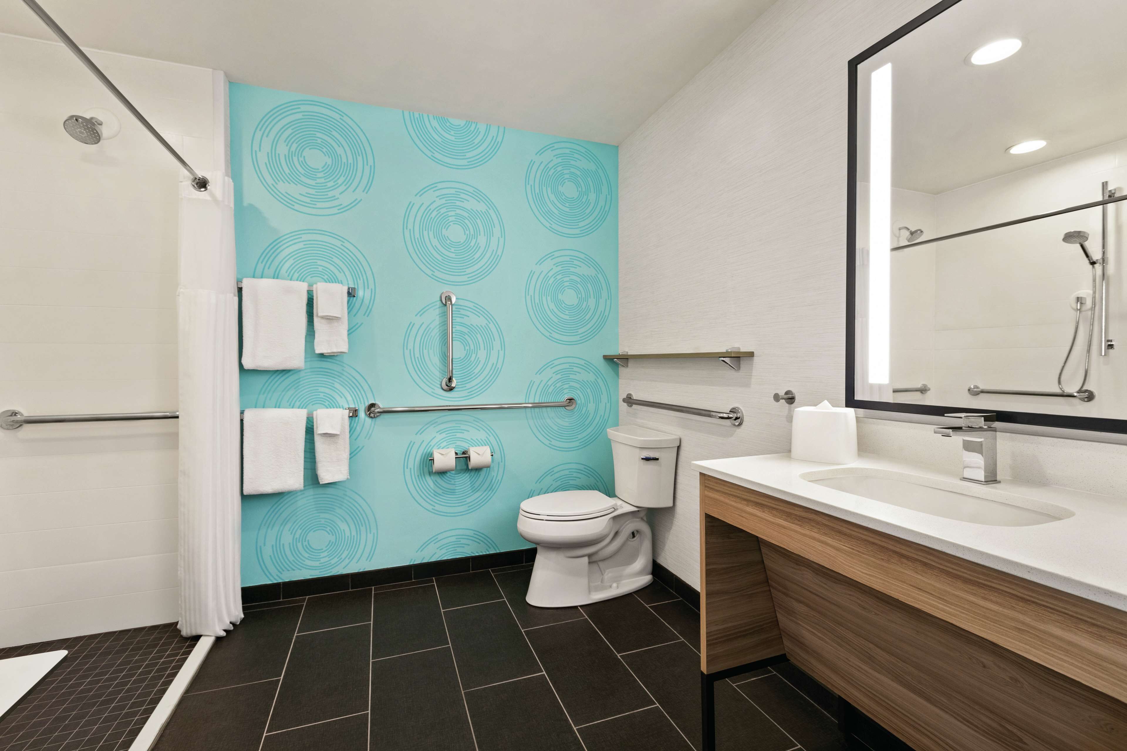 room, 1 king bed, accessible (roll-in shower) | bathroom shower