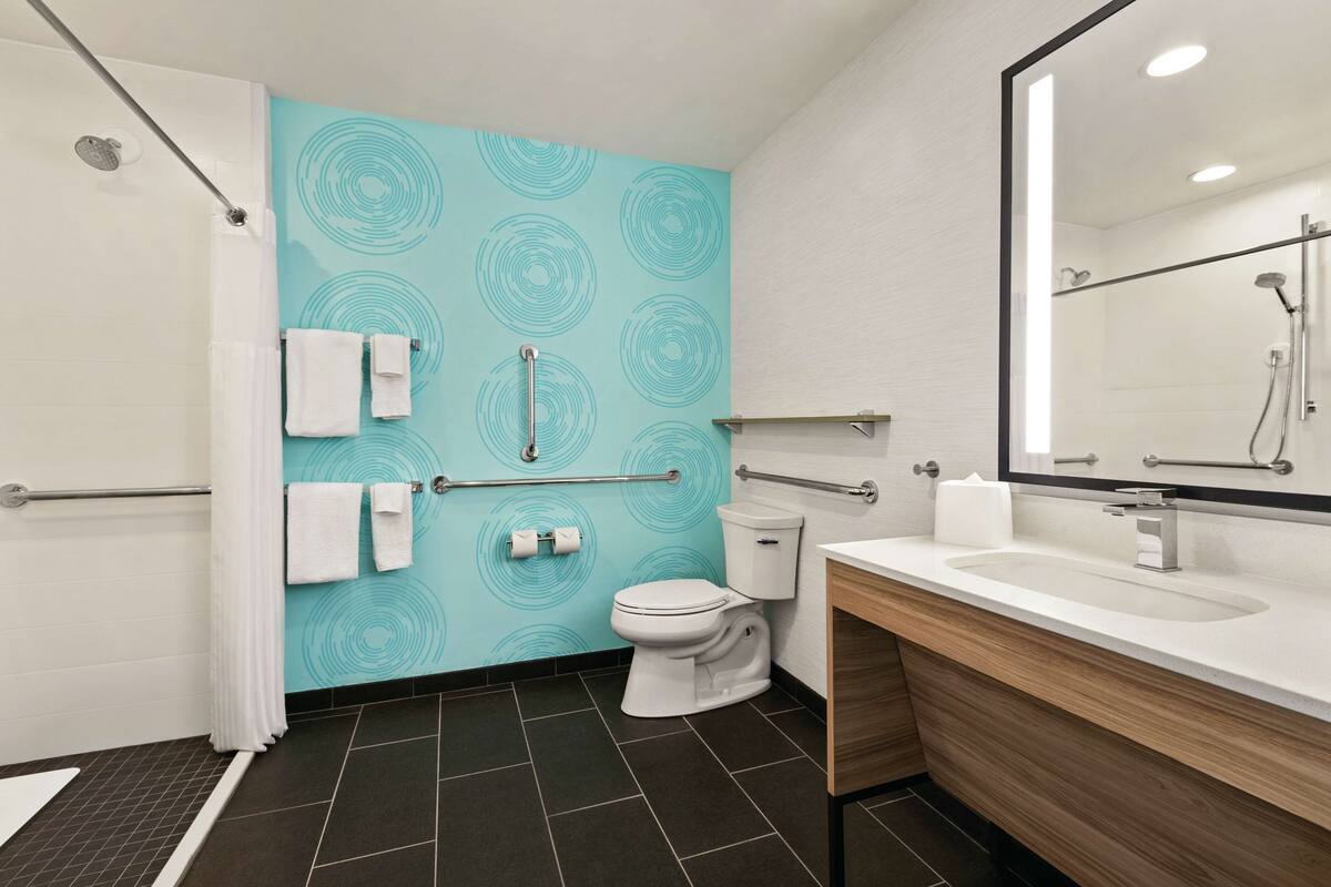 room, 1 king bed, accessible (roll-in shower) | bathroom shower