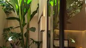 Une pièce avec une grande fenêtre, un canapé et une plante.