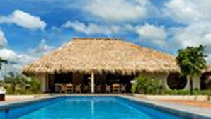Une piscine avec une structure couverte d’un toit de chaume en arrière-plan.