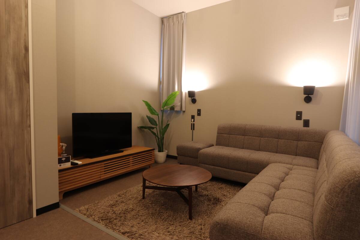 Un salon avec un canapé, un téléviseur posé sur un meuble en bois, une plante et une lampe.