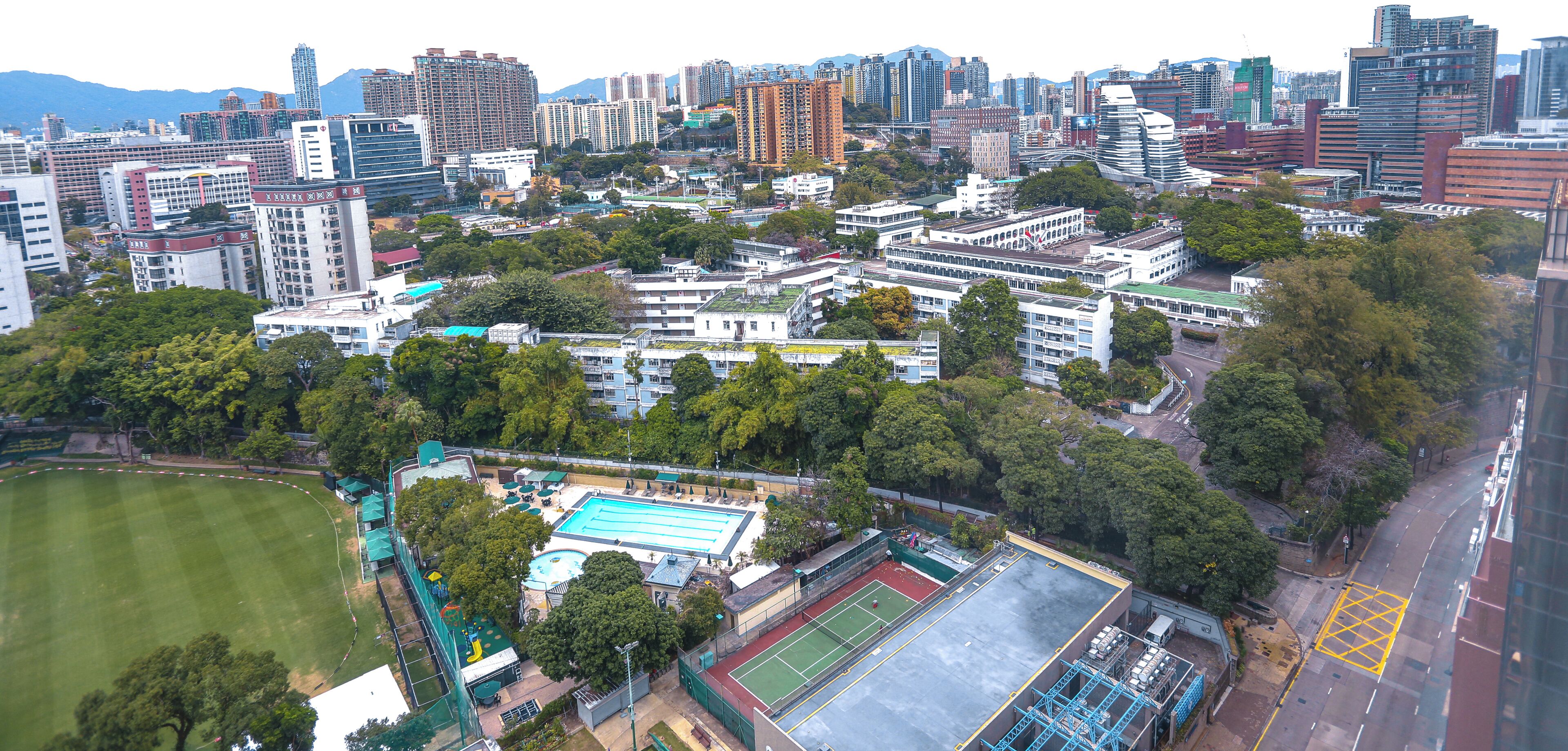 corner park view | view from room