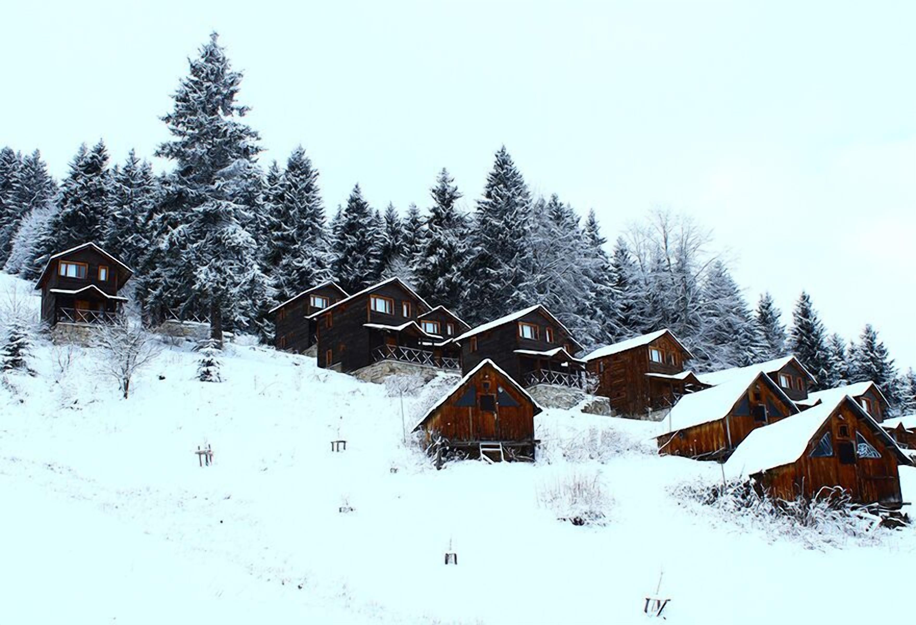 A cluster of wooden cabins in a snowy landscape.