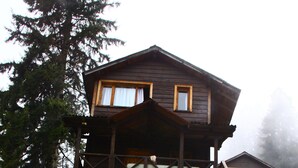 A wooden cabin with a stone foundation, surrounded by dense yellow flowering plants. - Hamsiköy Zitaş Otel & Bungalov & Restoran (Maçka)