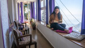 Une pièce avec un coin fenêtre, une chaise et une plante en pot.